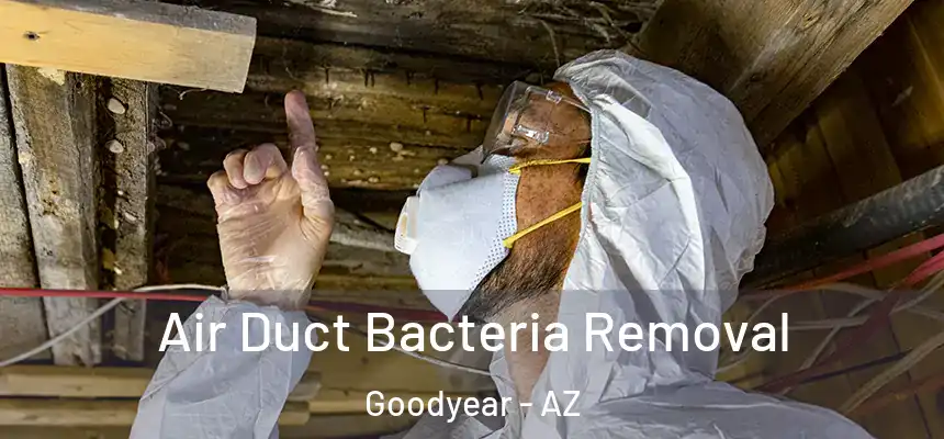 Air Duct Bacteria Removal Goodyear - AZ