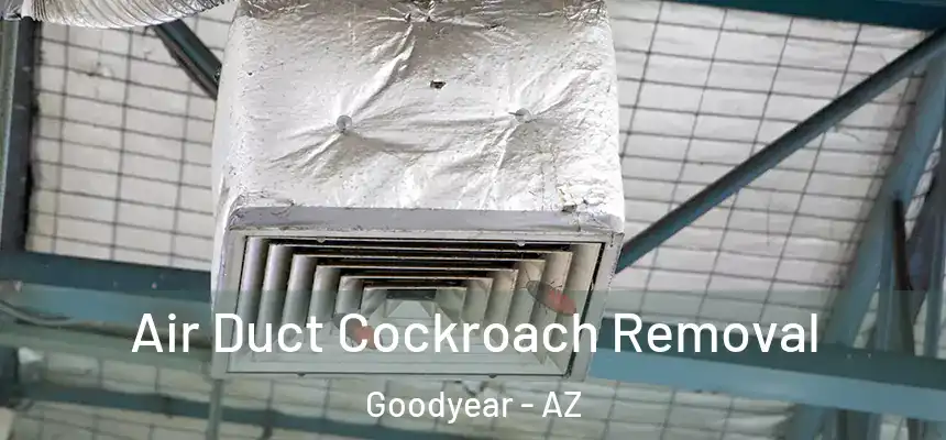 Air Duct Cockroach Removal Goodyear - AZ