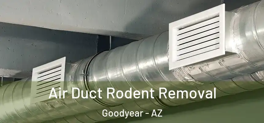 Air Duct Rodent Removal Goodyear - AZ