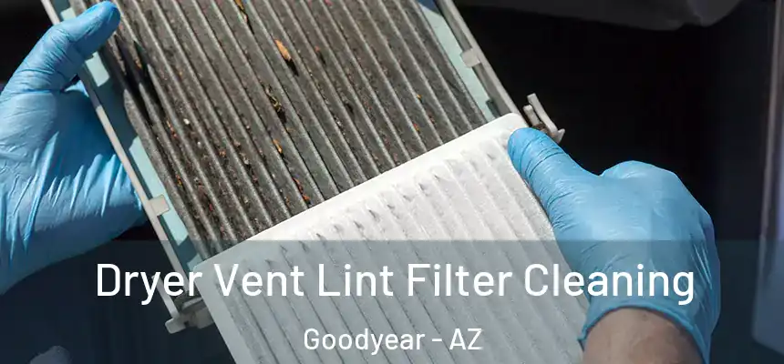 Dryer Vent Lint Filter Cleaning Goodyear - AZ
