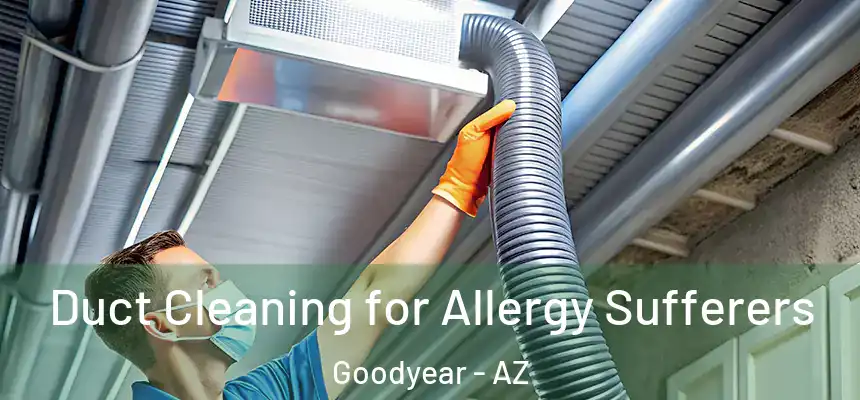 Duct Cleaning for Allergy Sufferers Goodyear - AZ