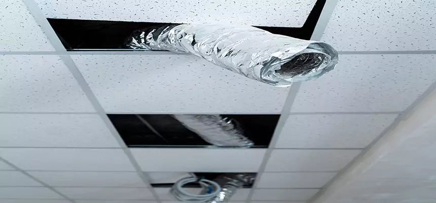 Affordable HVAC Sanitizing After Pest Removal in Goodyear