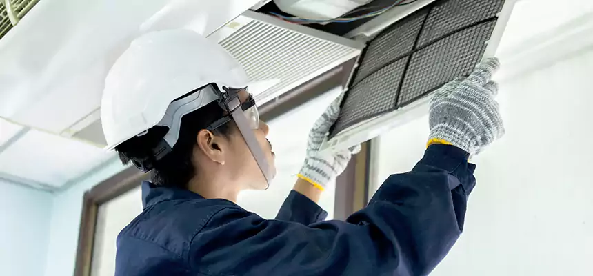 Our Mold & Mildew Removal from Air Ducts Services in Goodyear, AZ