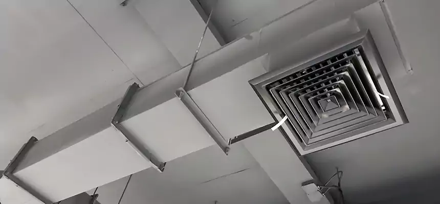 Our Rodent Droppings In Vents Services in Goodyear, AZ