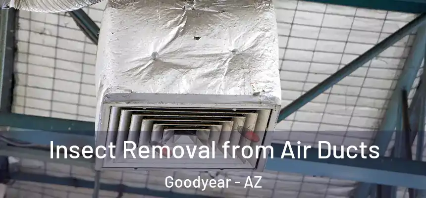 Insect Removal from Air Ducts Goodyear - AZ