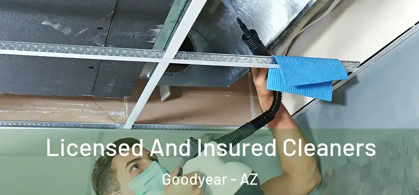 Licensed And Insured Cleaners Goodyear - AZ