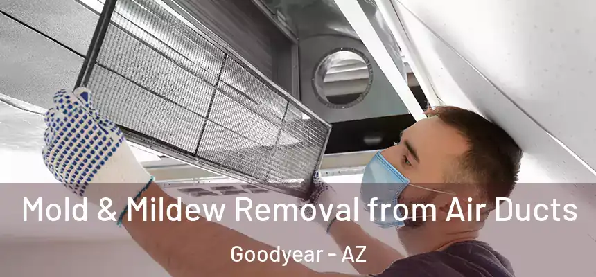 Mold & Mildew Removal from Air Ducts Goodyear - AZ
