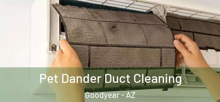 Pet Dander Duct Cleaning Goodyear - AZ