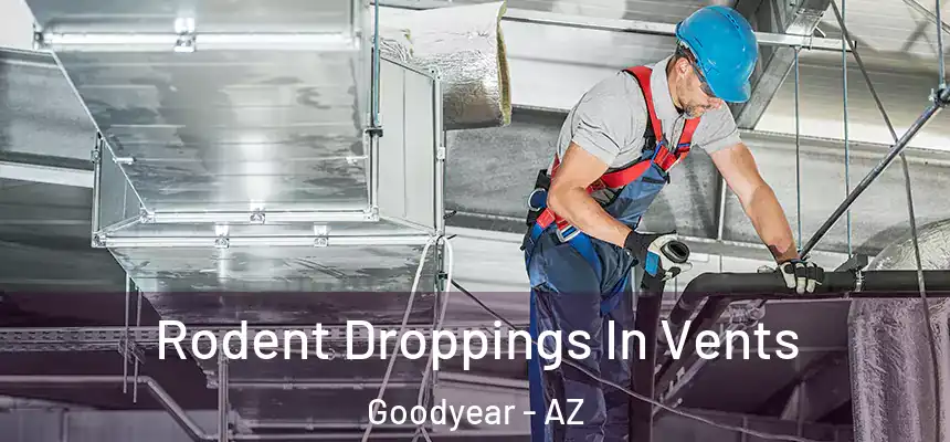Rodent Droppings In Vents Goodyear - AZ
