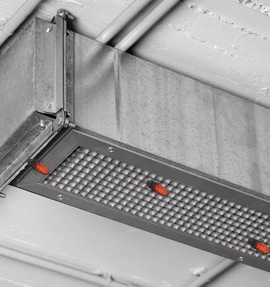 Affordable Insect Removal from Air Ducts in Goodyear, AZ