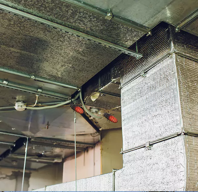 Why Homeowners & Businesses Trust Us in Goodyear, AZ?