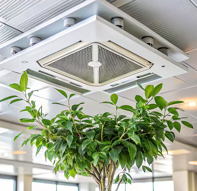 Why Homeowners & Businesses Trust Us in Goodyear, AZ