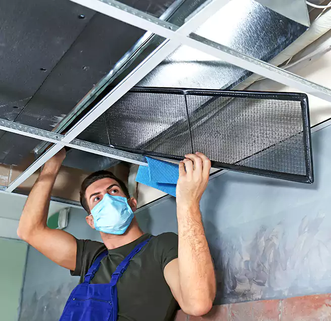 Why Homeowners Businesses Trust Us in Goodyear, AZ